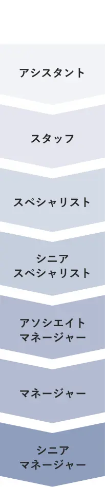 キャリア階層